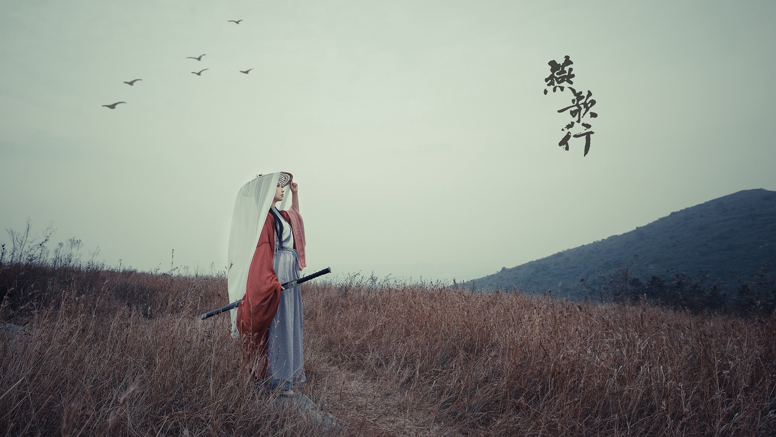 体育赛事观众体验优化，观看体育赛事的价值和意义