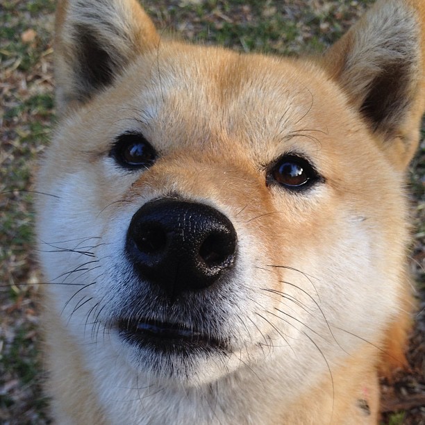九游体育网站入口-NBA联盟青训体系与国际合作发展，nba青年队