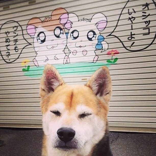 世俱杯决赛:巴塞罗那对阵利雅得胜利,谁将问鼎?,巴塞罗那vs世俱杯2015