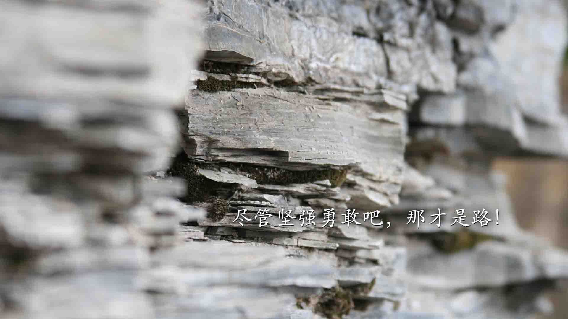 九游娱乐(jiuyou)官网-世界陀螺锦标赛中国队首次参赛即获佳绩，陀螺比赛现场