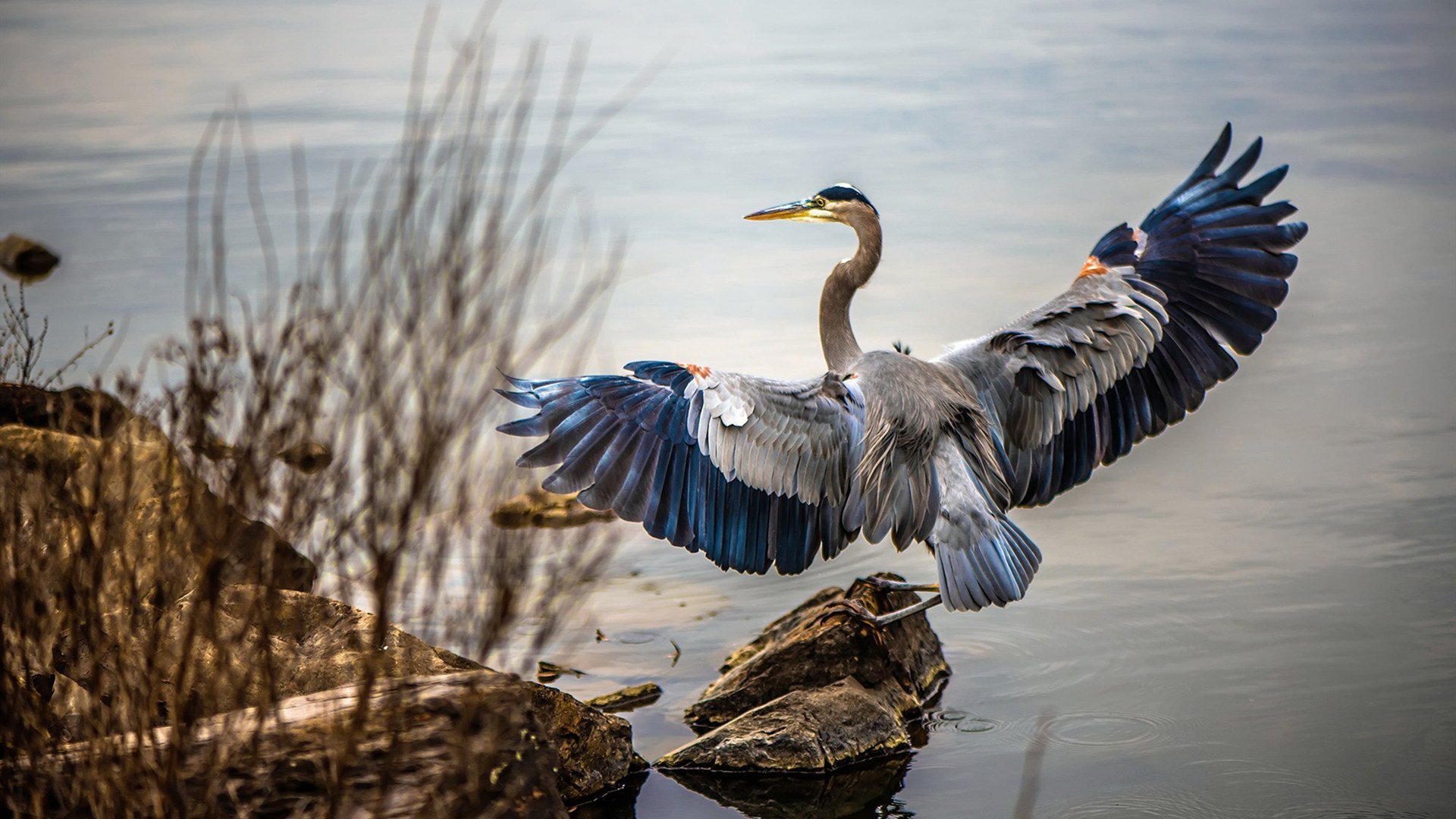 Jiuyou-世界青少年拳击锦标赛中国运动员摘得佳绩，全国青少年拳击锦标赛冠军