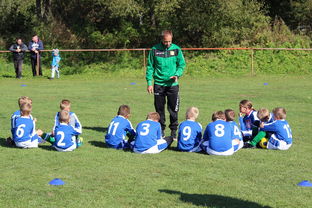 九游电脑版-中国篮球教练员战术创新与应用能力提升路径探索，全国篮球教练员岗位培训