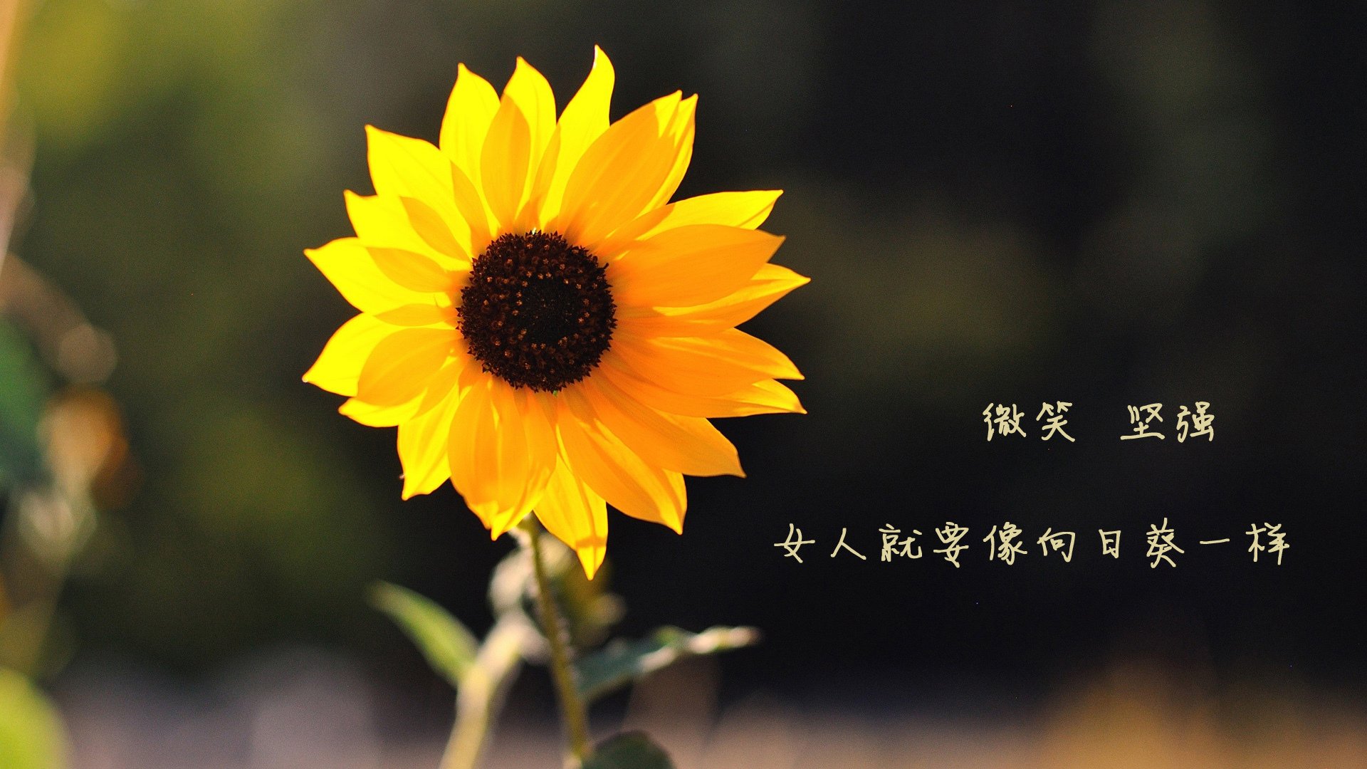 九游官网下载app下载-中超年度传控关键回合成功率趋势，中超控股新闻