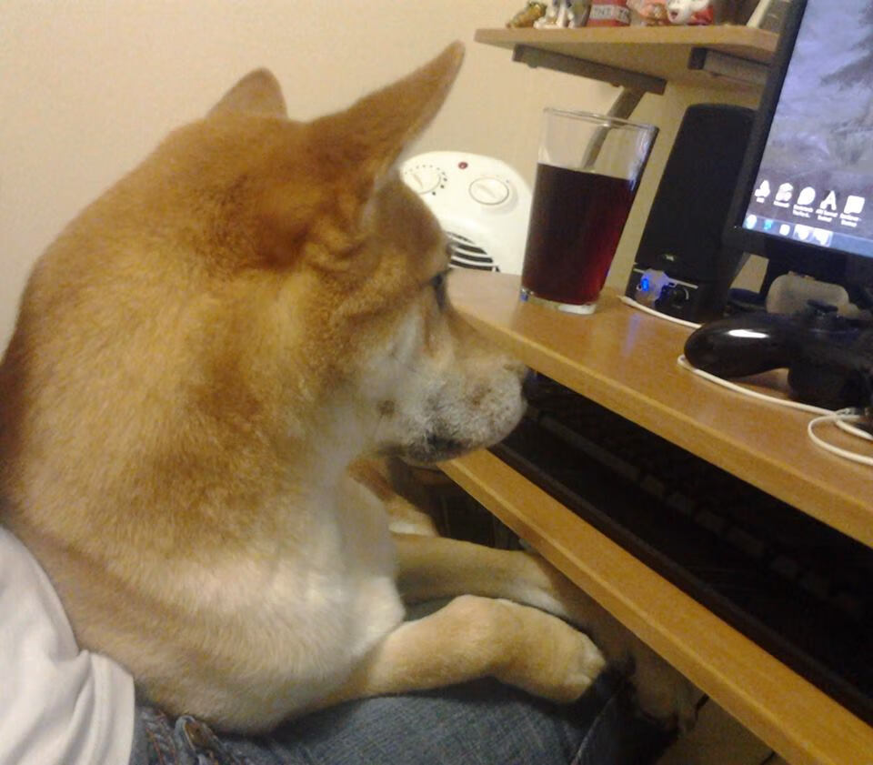 九游手游官网-中超联赛高光时刻回顾专题，中超联赛2021