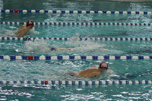 九游娱乐(jiuyou)官方网站-亚洲游泳冠军赛孙杨携队友力夺接力金，中国游泳冠军孙扬