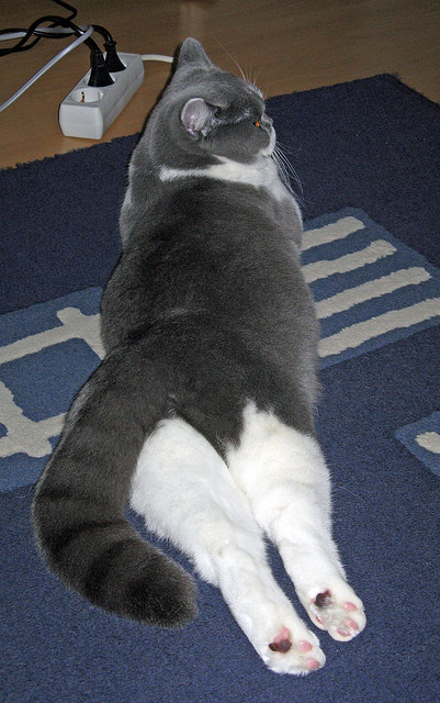 九游官网pc-体育产业创新发展方向，体育产业科技创新